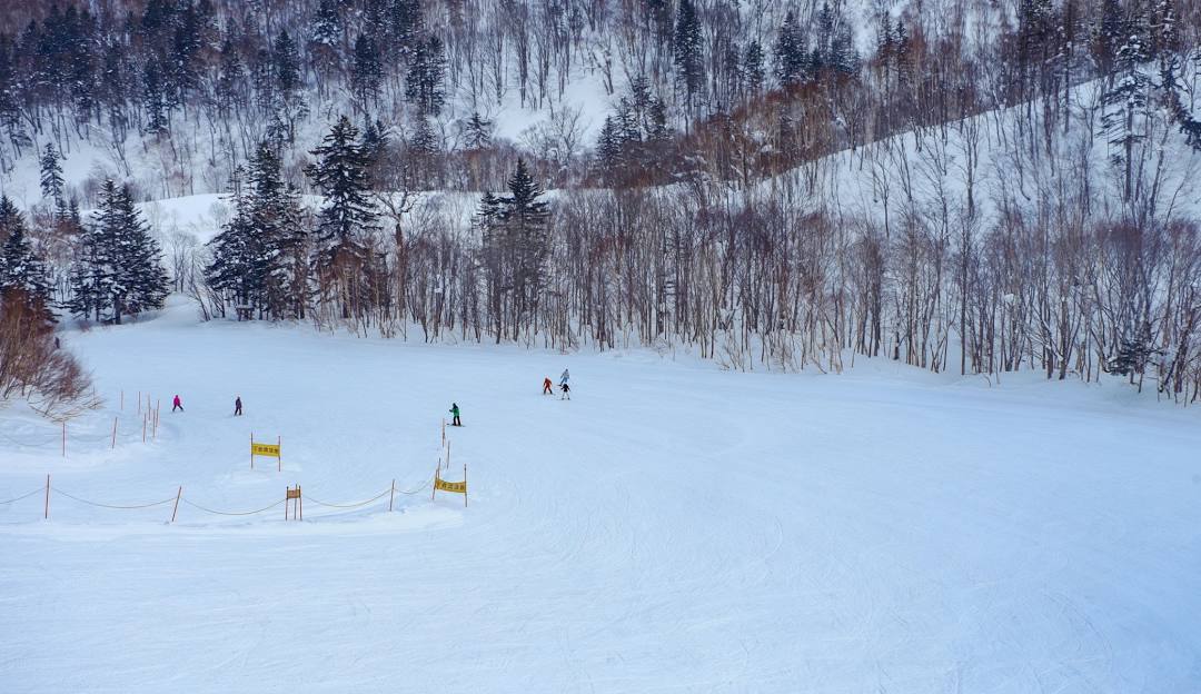 Winter scene at Sapporo Kokusai – Jozankei Kogen in Japan, featuring skiers enjoying the slopes, ski lifts, and stunning snow-capped mountain backdrop at a ski resort.
