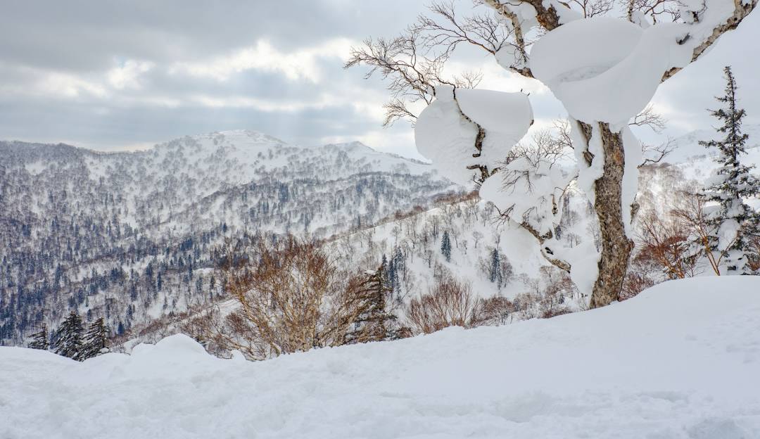 Stunning winter scenery at Sapporo Kokusai – Jozankei Kogen, featuring beautiful snowy mountains in the backdrop, a quintessential winter sports scene, in Sapporo, Hokkaido, Japan.