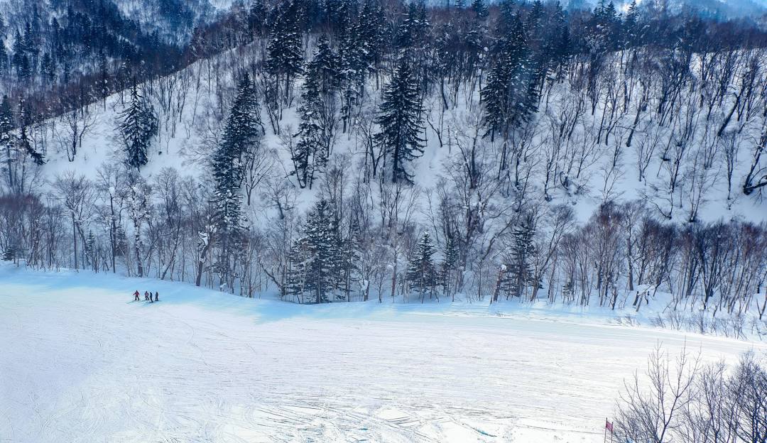 Winter image of Sapporo Kokusai – Jozankei Kogen in Japan, featuring an atmospheric winter scene with a skier enjoying the slopes at a scenic ski resort.