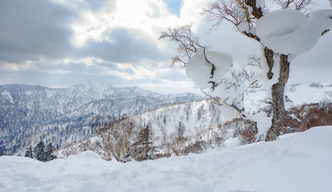 Snowboarder and skier enjoying the stunning winter scenery at Sapporo Kokusai – Jozankei Kogen, Hokkaido, Japan. The landscape is blanketed in beautiful, pristine snow.