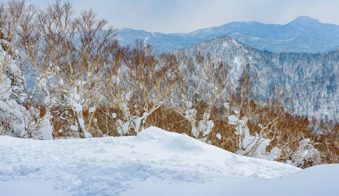 Breathtaking view of Sapporo Kokusai-Jozankei Kogen in winter, showcasing a magnificent snowy landscape peppered with winter sports activities.