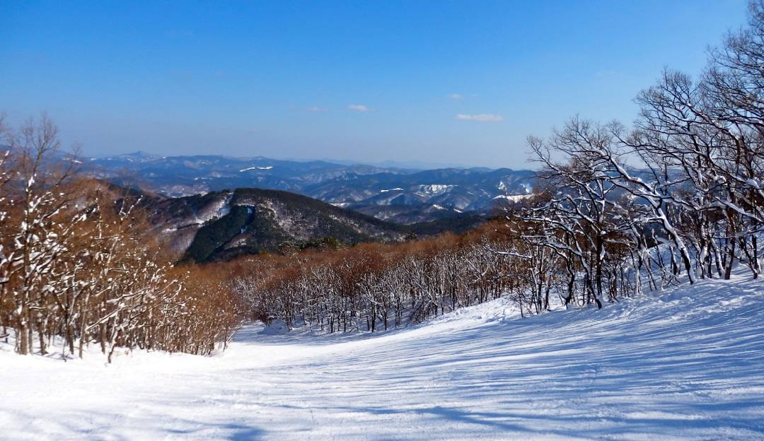 Winter view at Sapporo Kokusai – Jozankei Kogen ski resort in Minami Ward, Sapporo, Japan. Snow-covered landscape highlighting the beauty of the ski area.