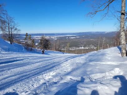 Winter sports scene in Zavyalikha, Russia, featuring a skier racing down powdery slopes at a ski resort. A charming challet and scenic winter landscape serve as a captivating backdrop.
