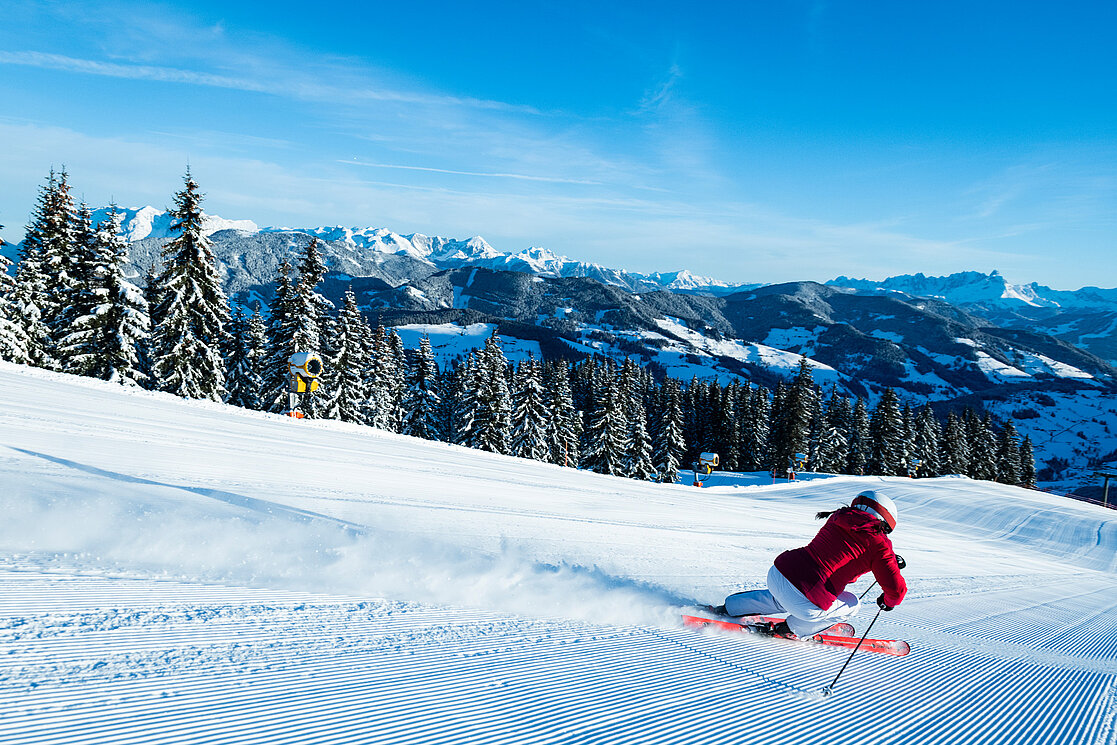 Gaissau-Hintersee in Austria - tracks in the snow.
