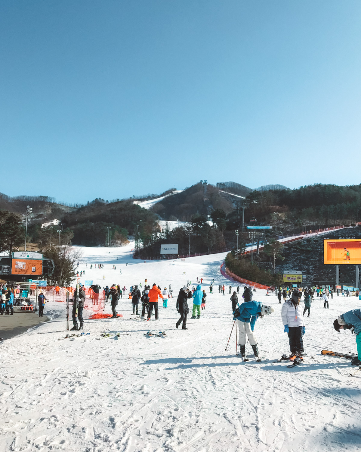 O2 Resort in South Korea - a group of people skiing down a snow covered hill.