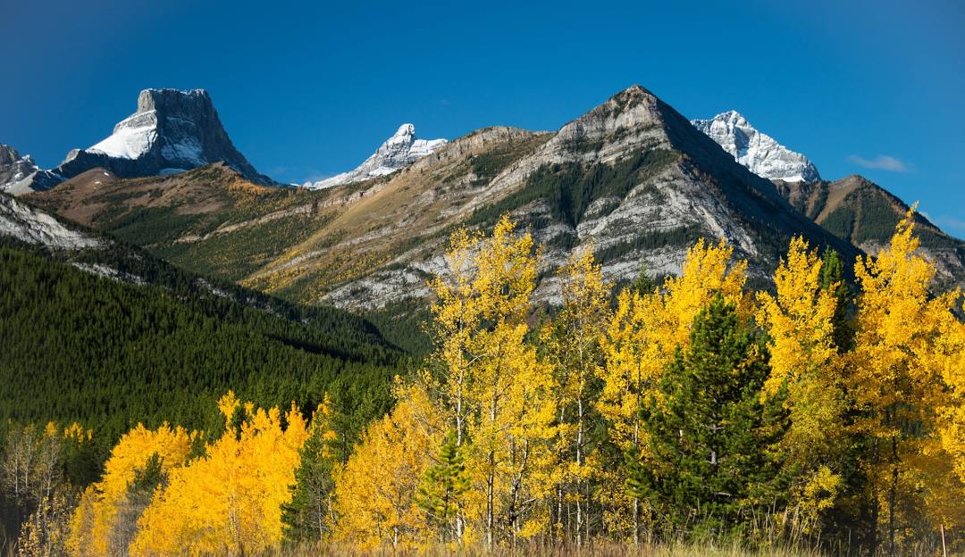 Fortress Mountain ski area in Canada - fall colors in the mountains.