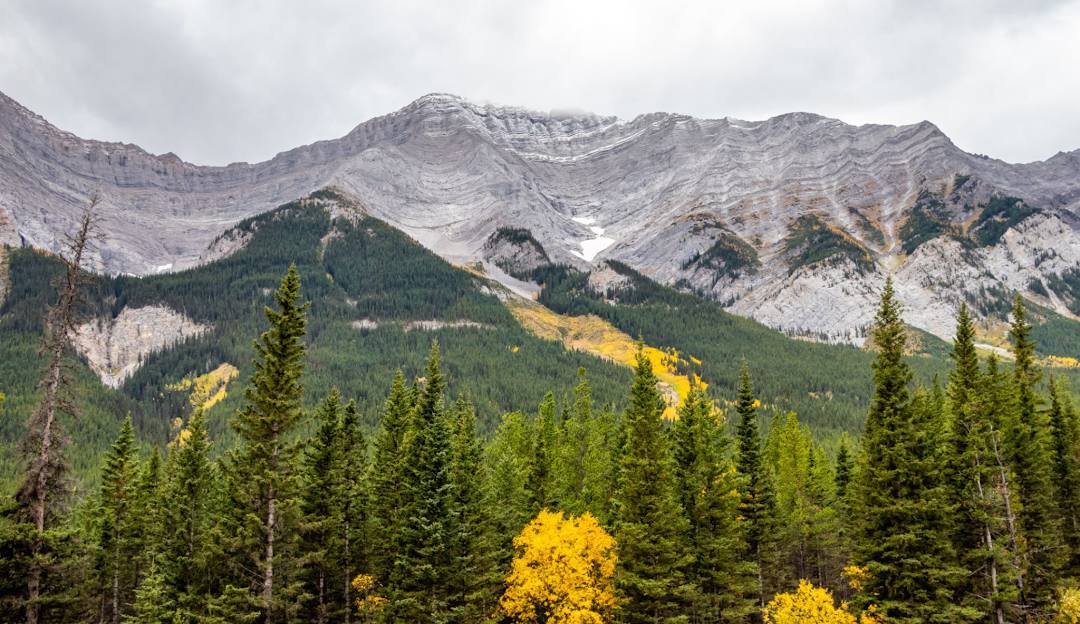 Fortress Mountain ski area in Canada - a view of the mountains from the trail.