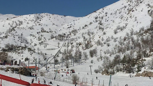 A scenic view of the Mount Hermon – Neve Ativ in Israel featuring a charming chalet amidst a lively ski resort. The picture perfectly encapsulates a winter sports scene with snow-covered slopes.