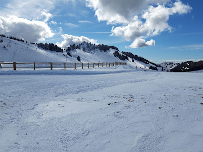 Winter sports scene at Bernex in Haute-Savoie Mont Blanc, France showing a charming chalet amidst stunning winter scenery at a ski resort. Perfect for skiing and fun in the snow.