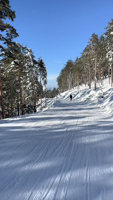 Winter sports scene at Tornik – Zlatibor in Serbia, featuring a bustling ski resort, an inviting challet, and a skier gracefully descending a snowy slope.