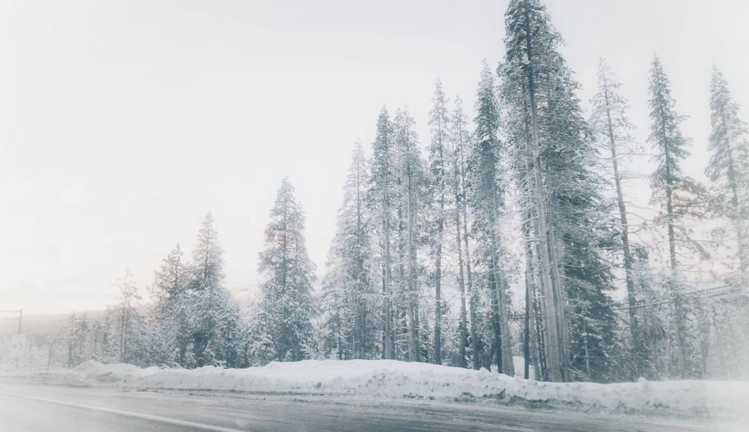 Boreal Mountain California in USA - a snow covered road with trees in the background.