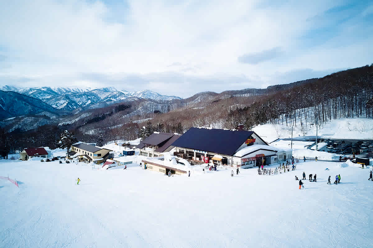 Hodaigi Ski Resort in Japan - a group of people skiing down a mountain.
