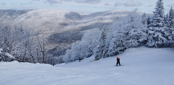 A skier gliding down the slopes at Mont Sutton ski resort in Sutton, Quebec, Canada. The stunning winter scenery of the area enhances the adventurous and exhilarating experience.