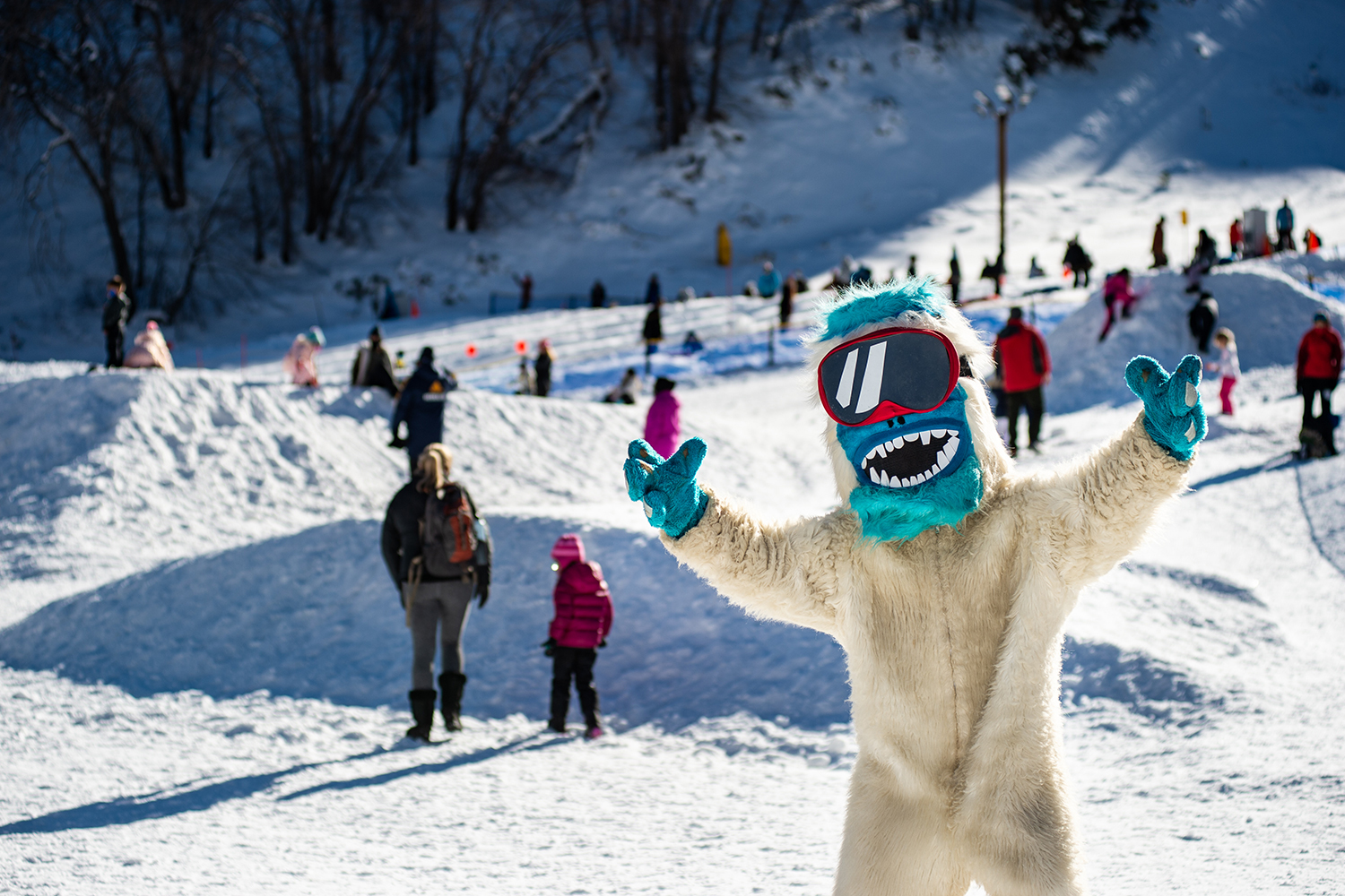 Mt. High East in USA - a polar bear standing in the snow with his arms up.