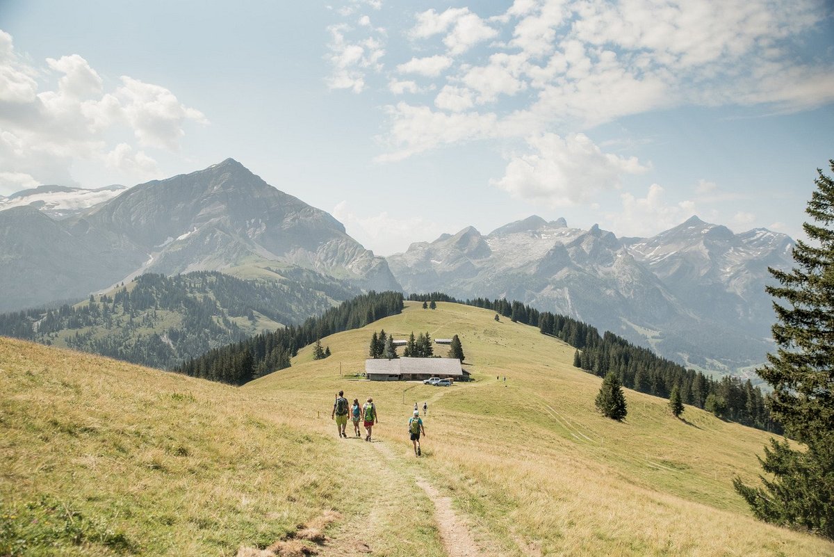 Wispile – Gstaad in Switzerland - a group of people walking up a grassy hill.