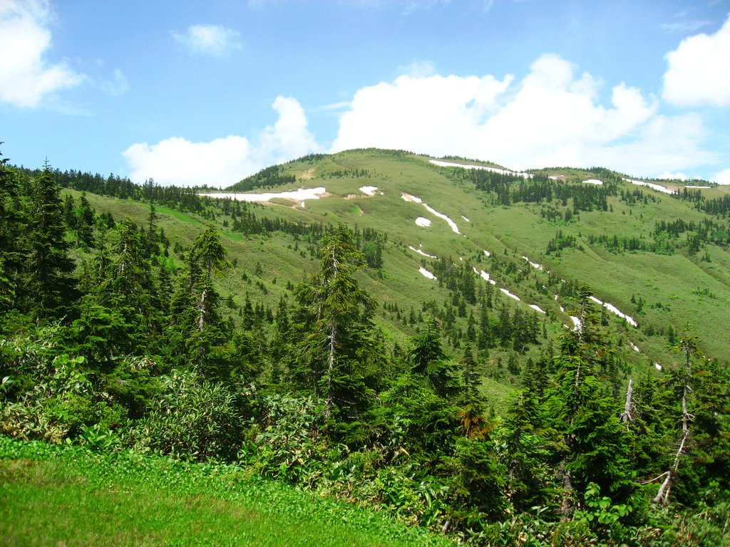 Aizu Kogen Daikurayama in Japan - a mountain with trees and grass in the fore.