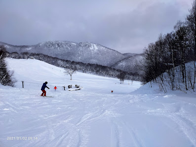 Ski enthusiast gliding down the powdered white slopes at Aizu Kogen Daikurayama, a popular winter sports center in Japan, bathed in the breathtaking beauty of winter scenery.