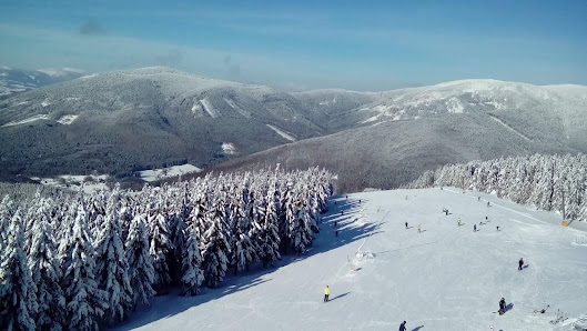 A winter sports scene unfolds at the Kouty nad Desnou ski resort in the Olomouc Region, Czech Republic. Stunning winter scenery surrounds a charming chalet nestled in the snowy landscape.