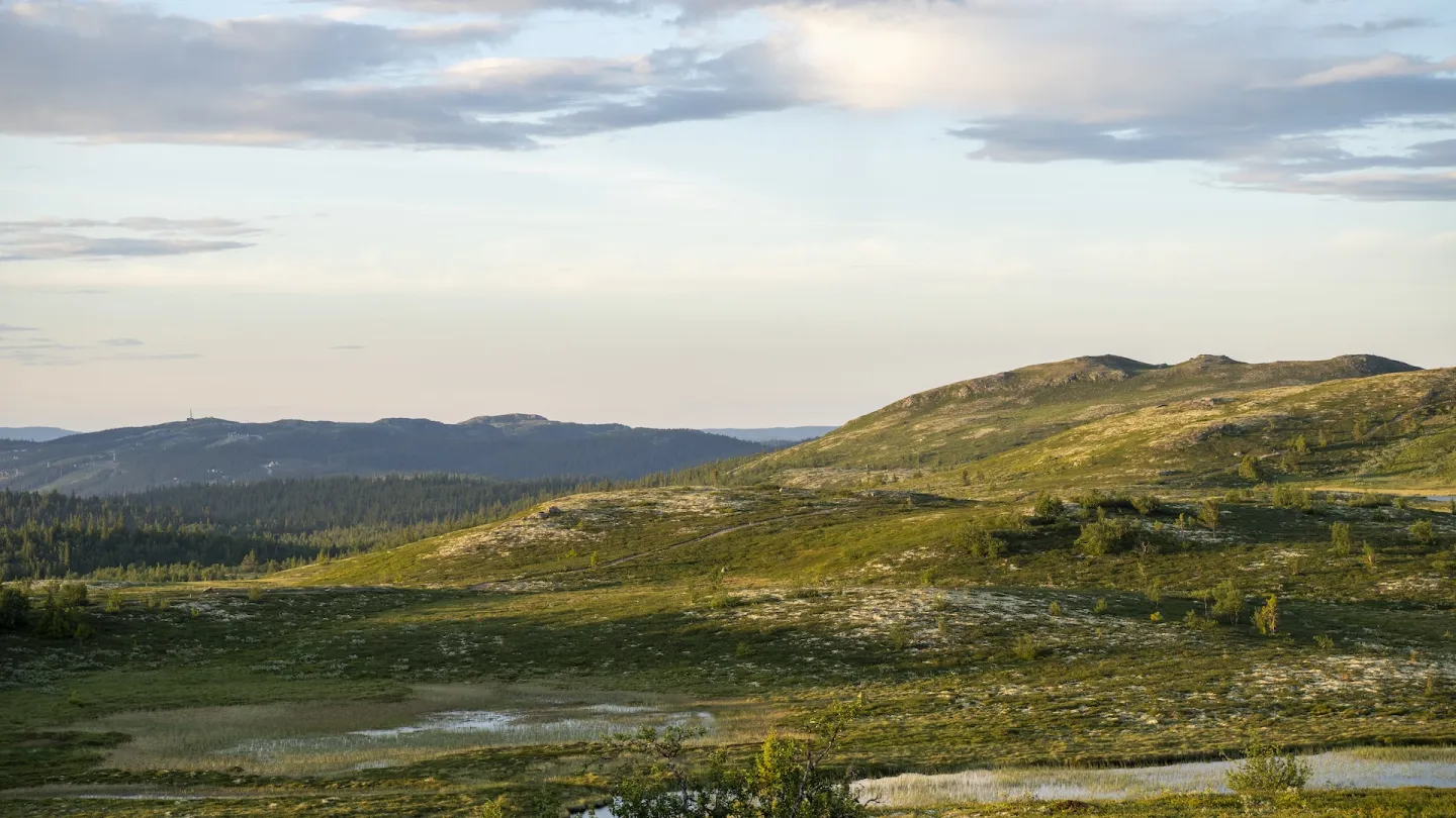 Nesfjellet – Nesbyen in Norway - the view of the mountains from the top of the mountain.