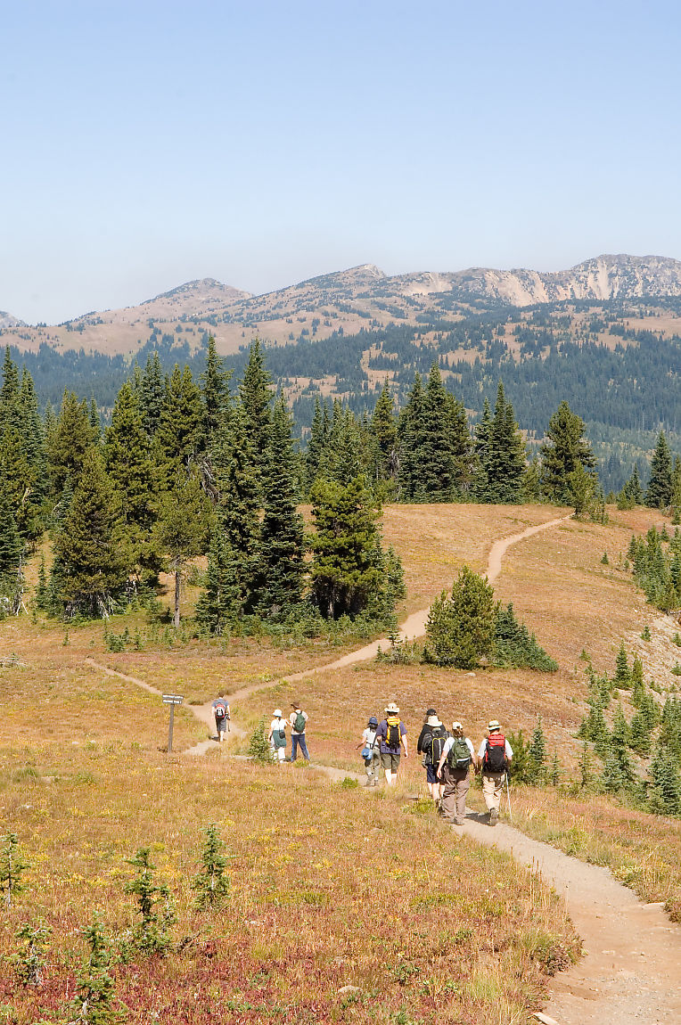 Manning Park in Canada - a group of people walking on a trail in the mountains.