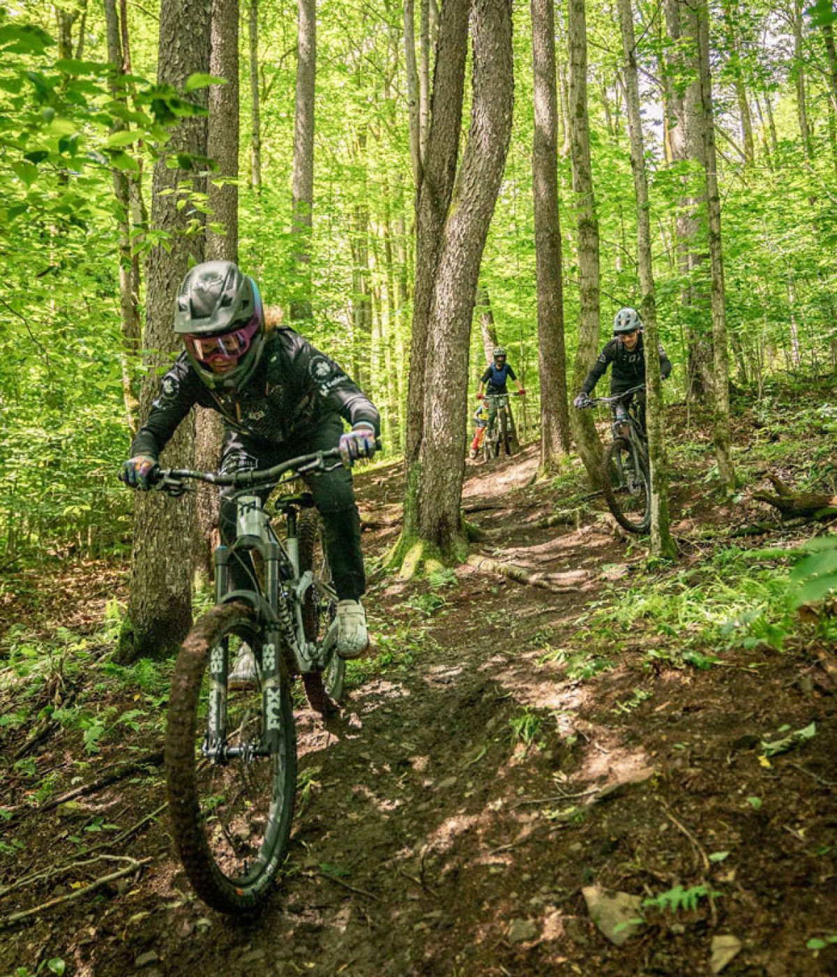Holimont in USA - a man riding a mountain bike through the woods.