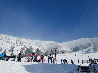 Winter scene at Pebble Creek in Inkom, Idaho, featuring a bustling ski resort with active skiers. A winter sports centre and a small chalet are visible, all set against a picturesque snow-covered landscape.
