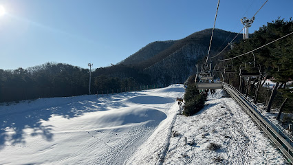 Winter scene at Jisan Forest Resort in South Korea, featuring a ski lift against the backdrop of a snow-covered mountain, a cozy chalet, and active skiers enjoying the resort.