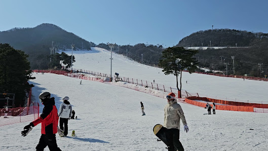 A scenic winter view at Jisan Forest Resort in South Korea featuring active skiers enjoying the slopes amidst breathtaking snowy surroundings at a full-fledged winter sports centre.