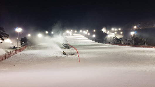 Winter sports scene at Jisan Forest Resort South Korea featuring a skier enjoying the snowy slopes. Ski lifts can be observed in the background hinting at the bustling ski resort and winter sports centre.