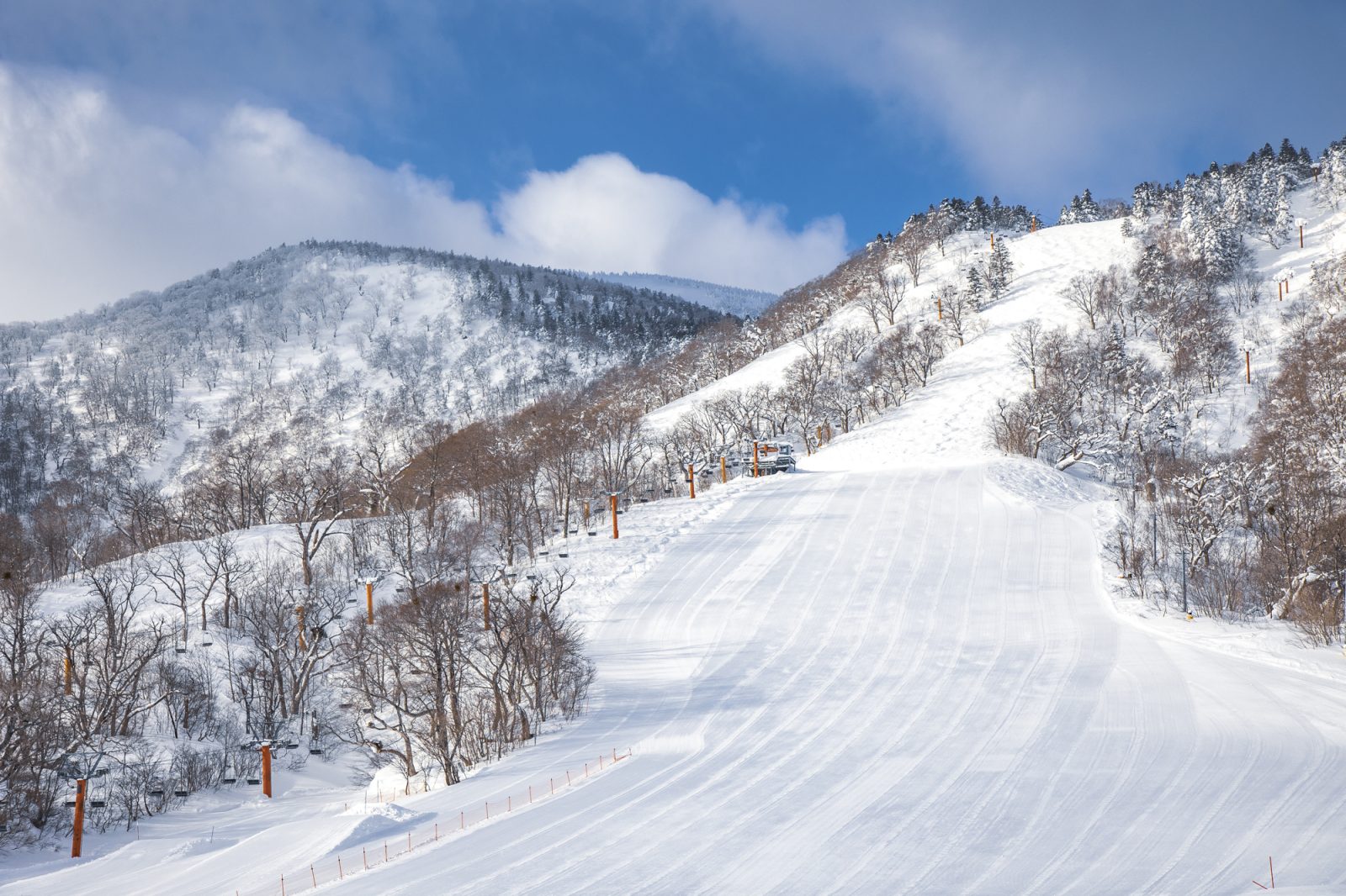 Miyagi Zao Eboshi Resort in Japan - a ski slope with trees and snow on it.