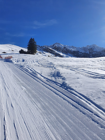 A winter sports scene at the Elsigen-Metsch in Frutigen Switzerland featuring a chalet and a ski resort amidst snow-covered slopes with a skier in action.