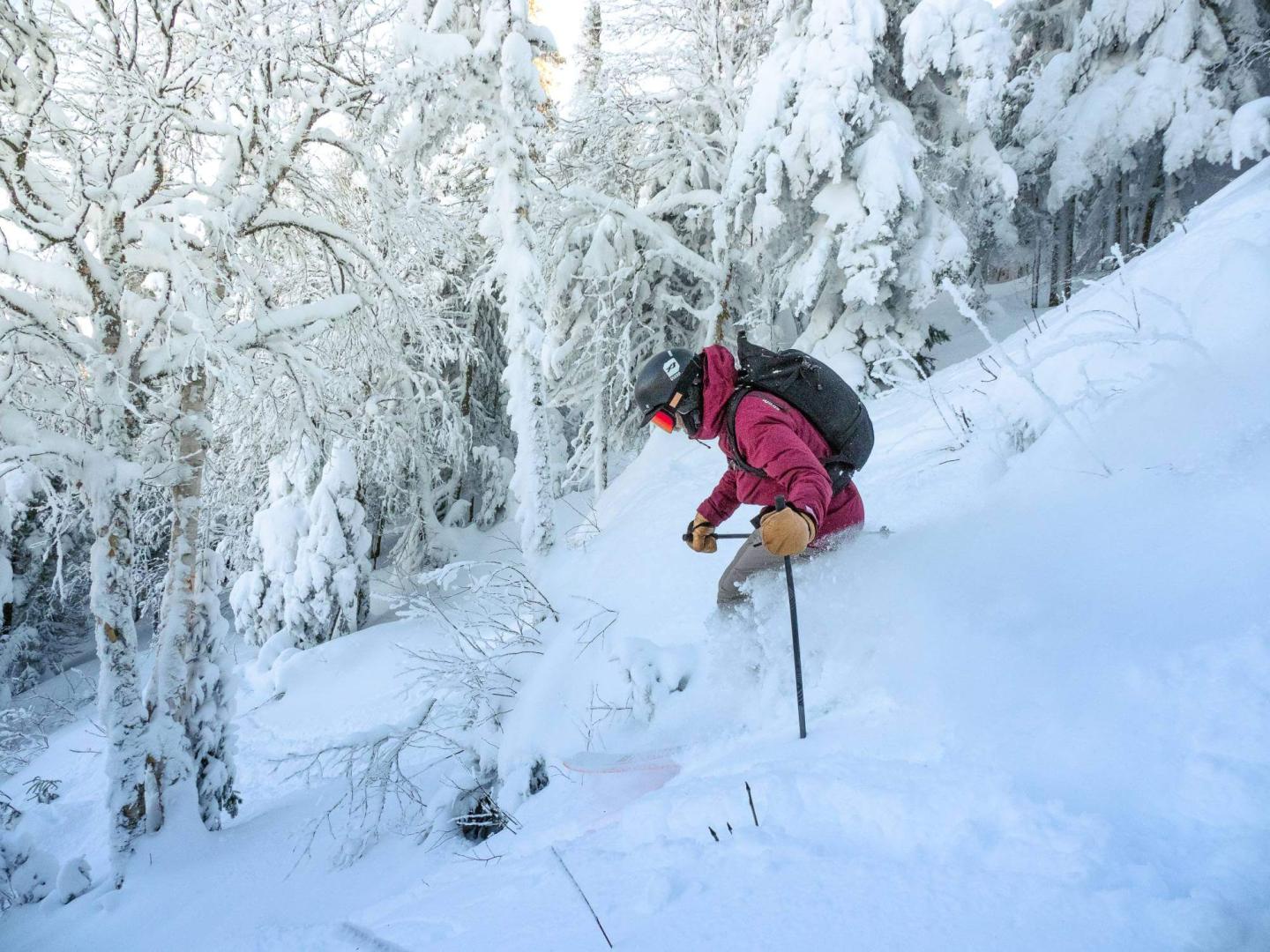 Massif du Sud in Canada - a person on skis down a snowy slope.