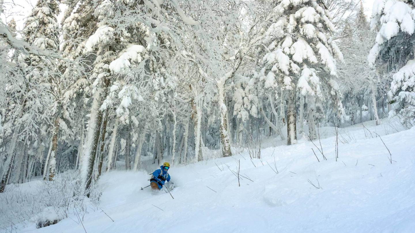 Massif du Sud in Canada - a person on skis down a snowy slope.