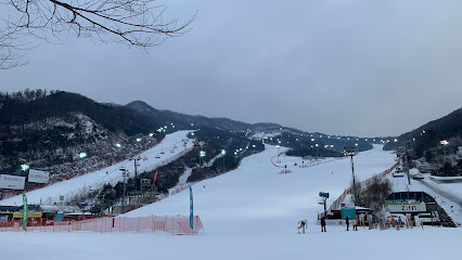 Skier amidst a stunning winter scene at the Konjiam Resort in South Korea. The beautifully snowy ski resort encapsulates the perfect environment for winter sports.