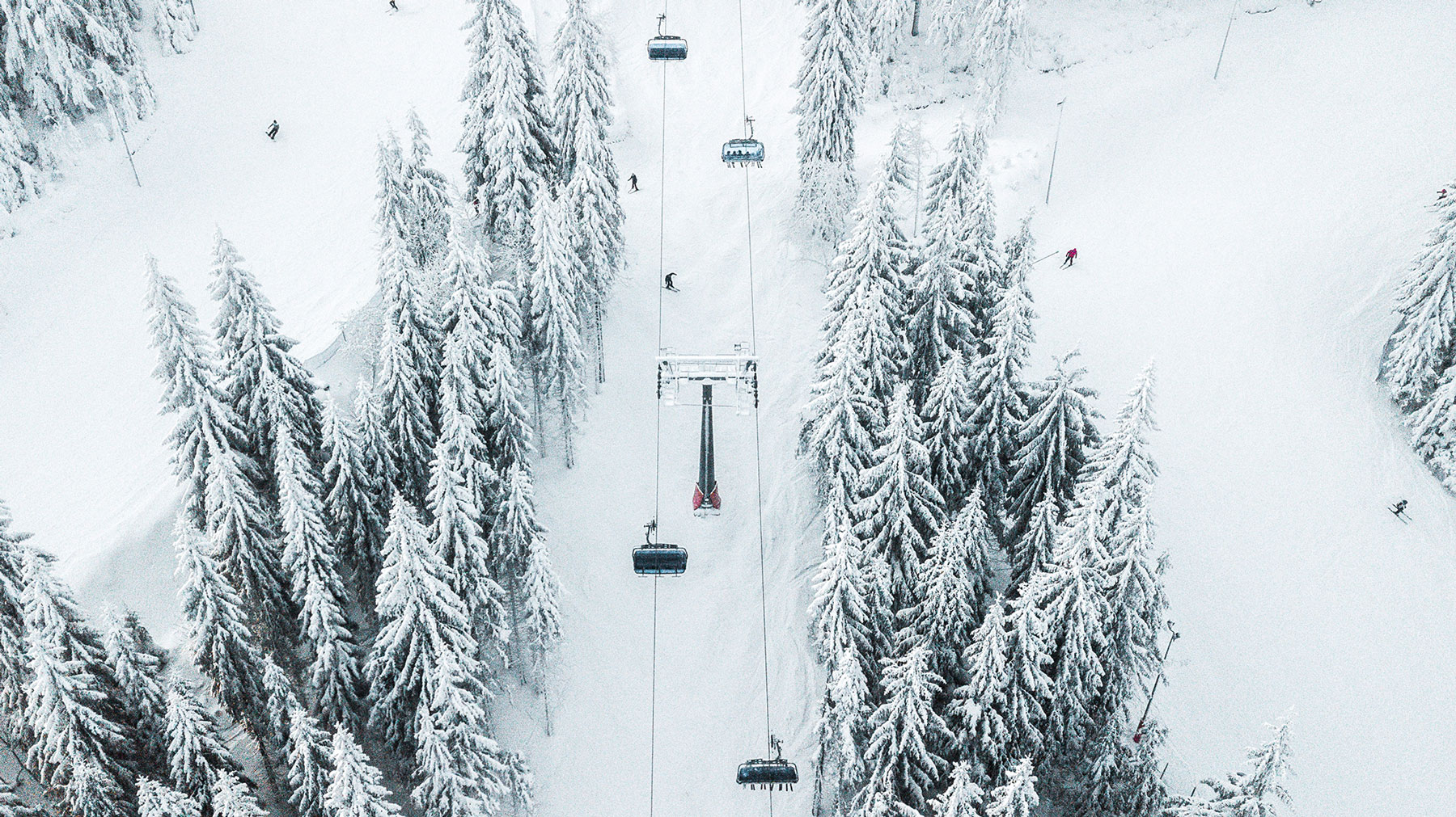 Zieleniec in Poland - a ski lift going through a snowy forest.
