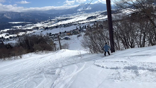 A skier in action at Togari Onsen in Japan, surrounded by the sprawling, scenic landscape of the ski resort, complete with a picturesque winter sports scene and charming chalet.