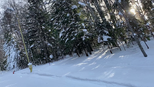 A winter sports scene at Clăbucet in Telescaun, Predeal, Romania featuring a skier gliding down the snowy slope, a snowmobile nearby, and a chalet nestled amongst the snow-dusted trees.