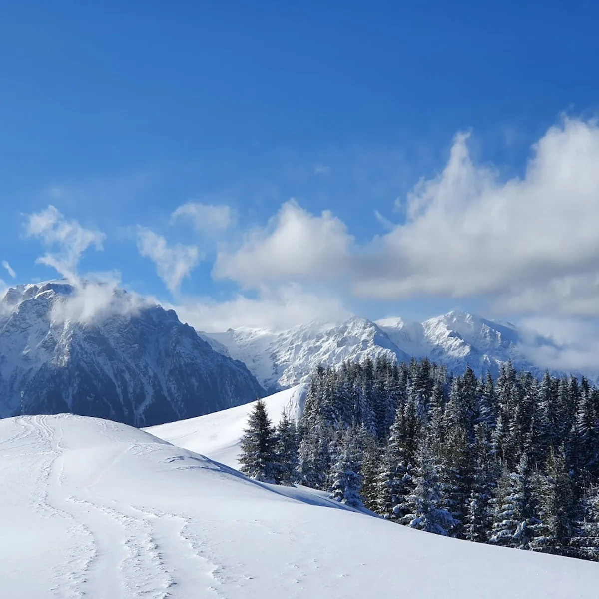 Clăbucet in Romania - a snow covered mountain with trees in the fore.