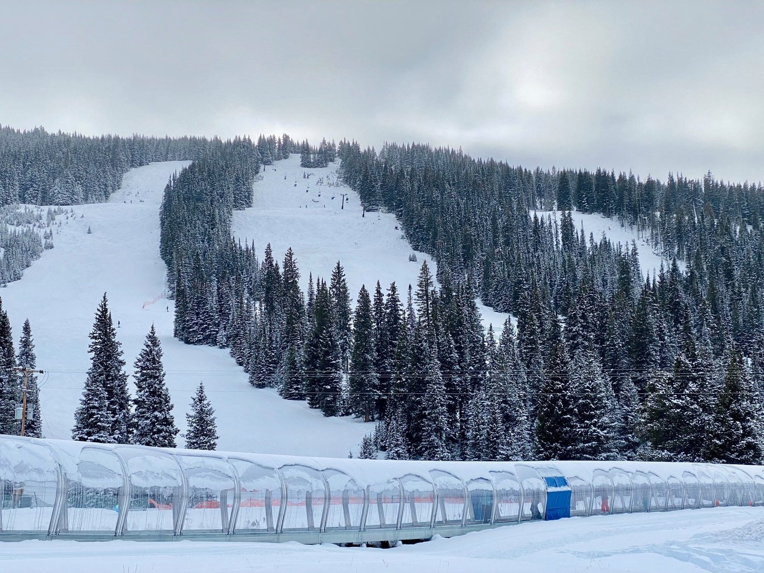 Antelope Butte in USA - a snow covered ski slope with trees in the background.