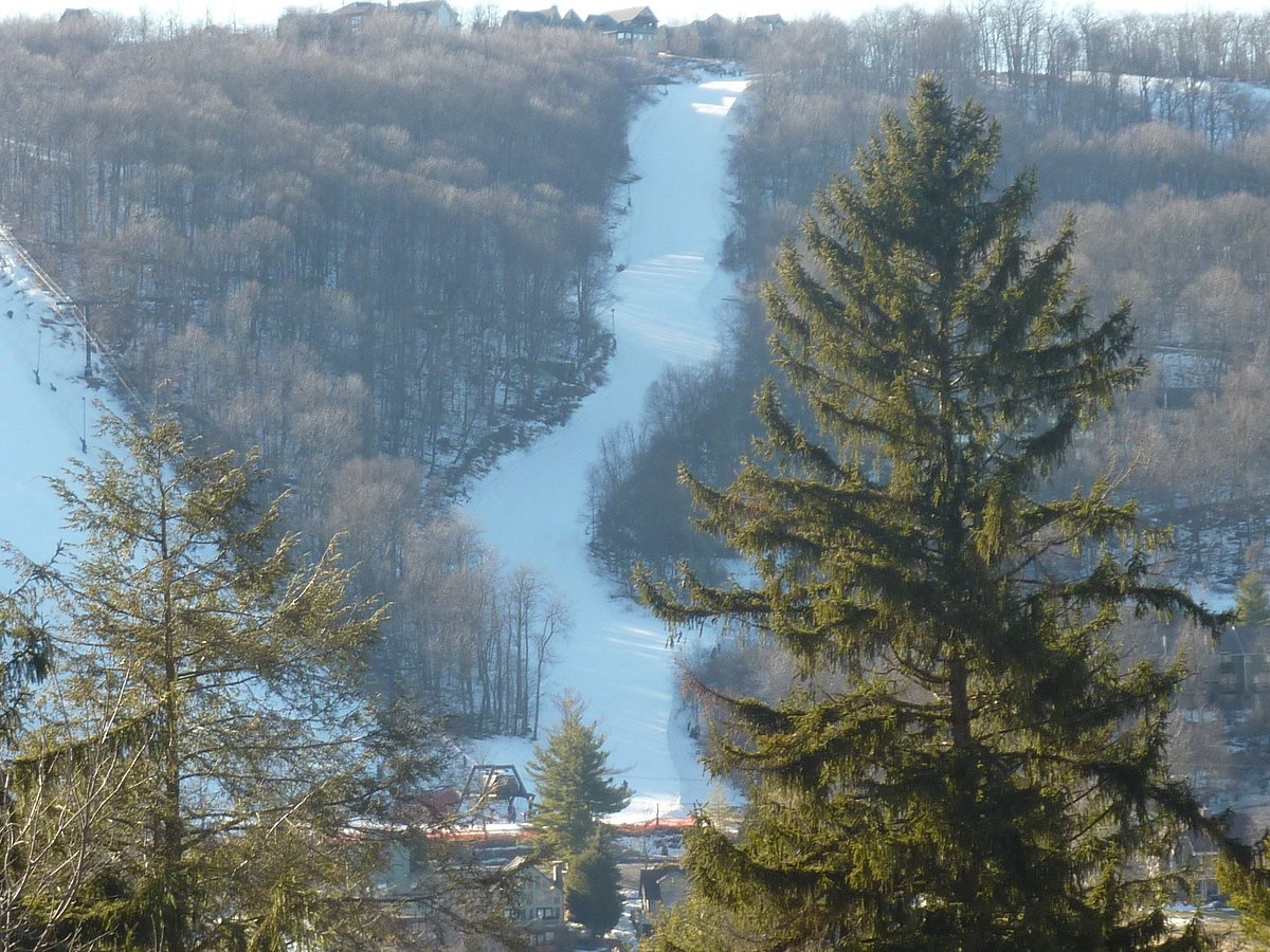 Wisp Resort in USA - a view of a ski slope with trees in the fore.