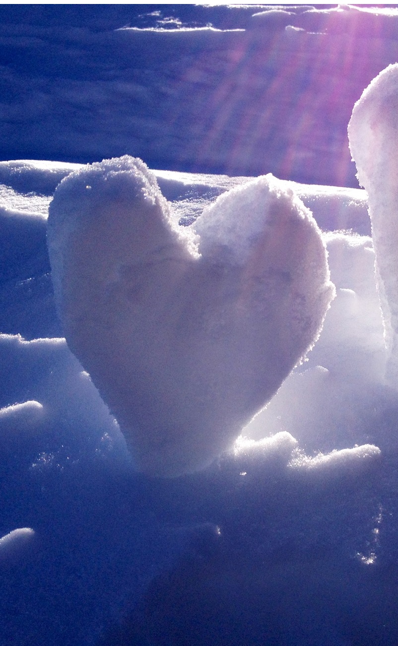 Bielmonte neve Lo Sci Per Tutti in Italy - two white teddy bears sitting in the snow.