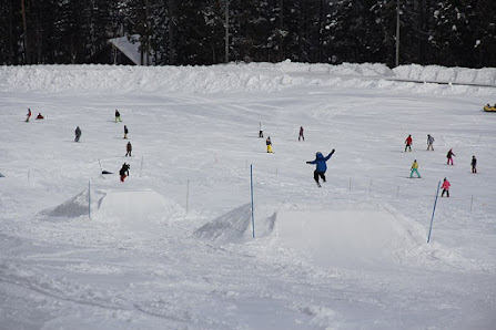 Winter sports enthusiasts enjoy a day on the slopes at Sun Alpina Hakuba Sanosaka Snow Resort in Japan. Skiers gracefully descend the mountain against a backdrop of a charming ski center.