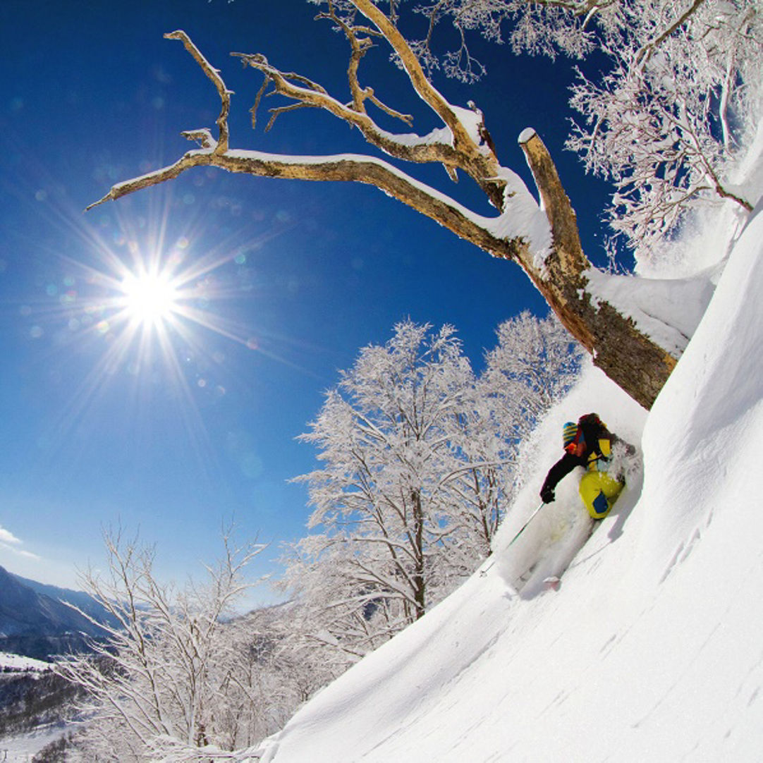 Sun Alpina Hakuba Sanosaka Snow Resort in Japan - a person skiing down a snow covered mountain.