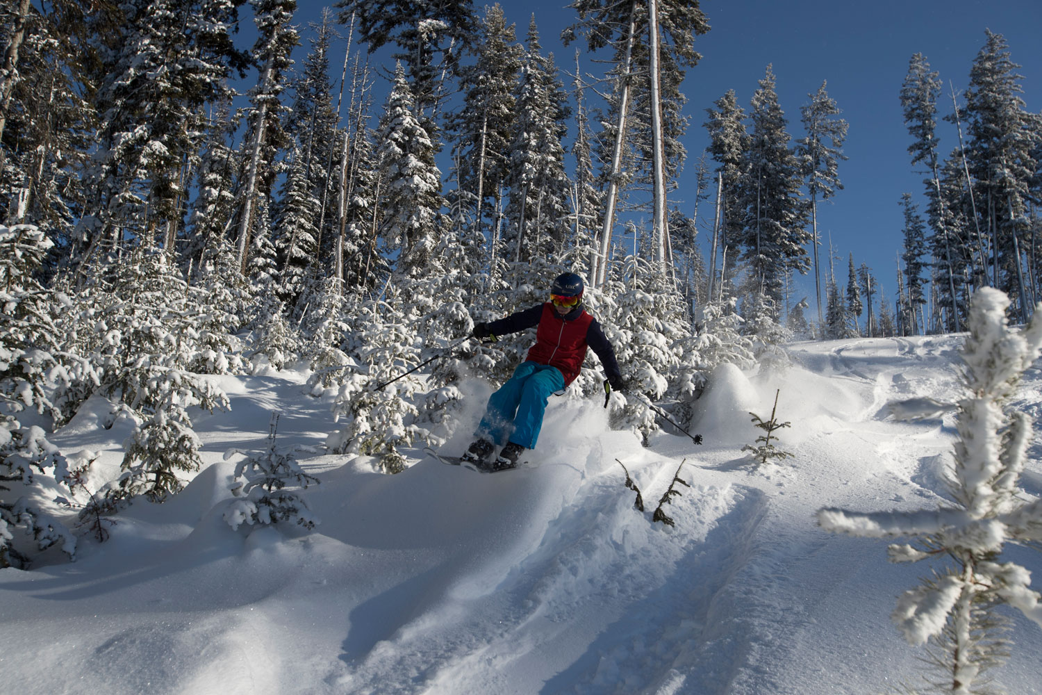 Harper Mountain in Canada - a person riding a snowboard down a snowy slope.