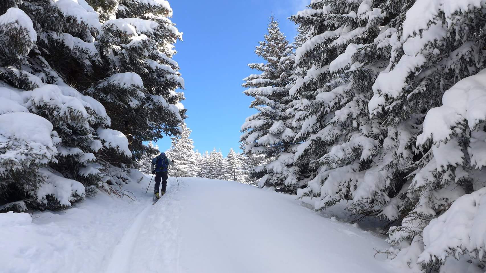 Sportbahnen Hochwang in Switzerland - a person walking down a snow covered trail.