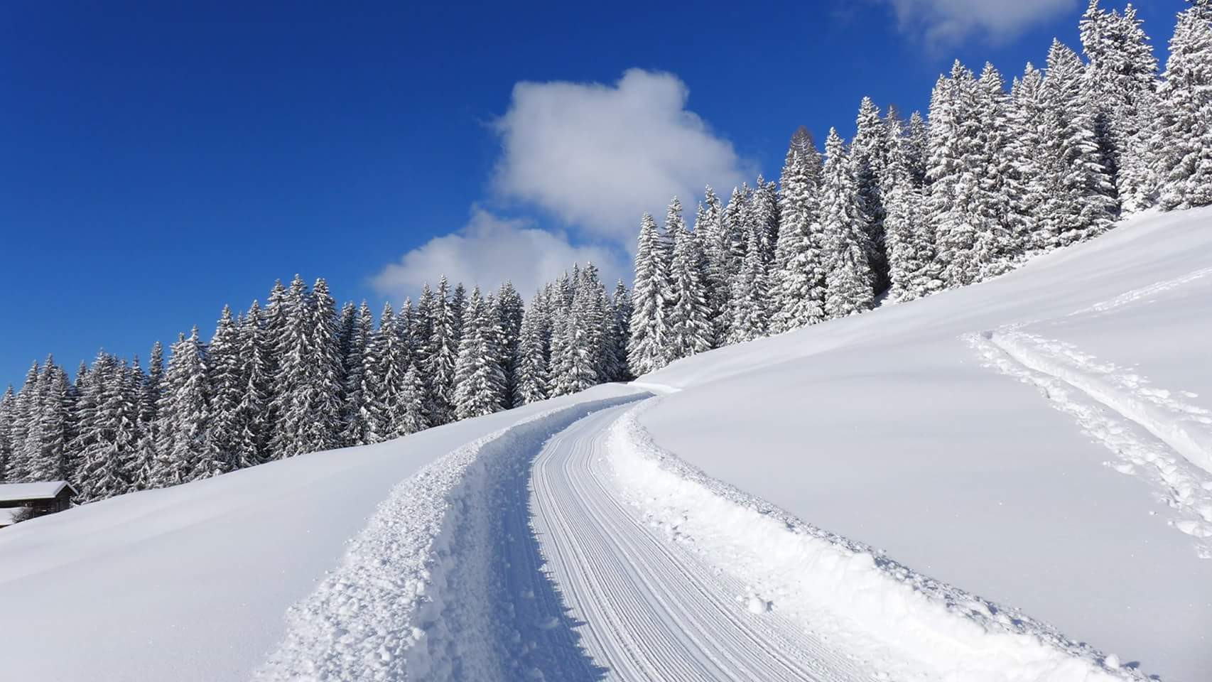 Sportbahnen Hochwang in Switzerland - a snowy road in the middle of a forest.