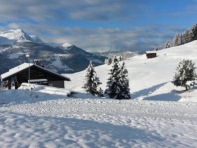 View of Sportbahnen Hochwang in Graubünden, Arosa depicting a charming challet set amidst a bustling winter sports scene. Beautiful winter scenery with a ski resort visible in the distance.
