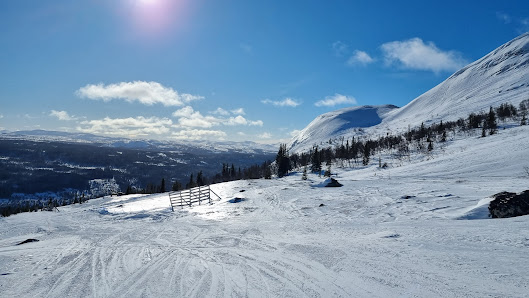 Skier at Åre Duved ski resort in Northern Sweden, gliding down snow-covered slopes. A quaint chalet peeks from the wintry scene offering spectators a cozy winter sports escape.