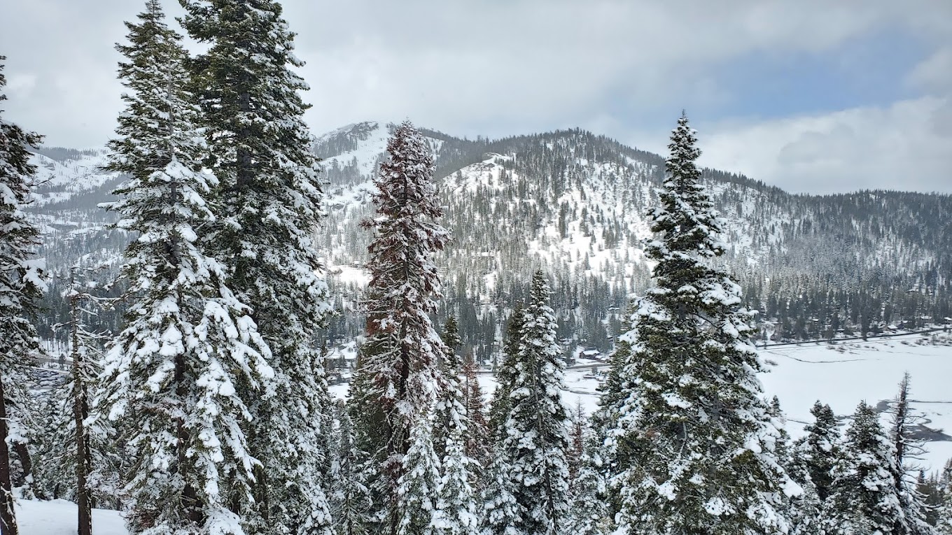 A winter sports scene at Palisades Tahoe in Lake Tahoe, California featuring snow-covered slopes under a clear sky. Enthusiast skiers and snowboarders are enjoying the day at this majestic ski resort.