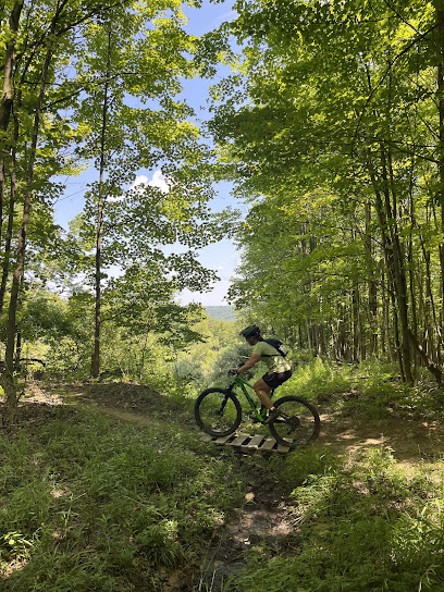 A mountain bike parked at Kissing Bridge in Glenwood NY with a charming challet in the backdrop. The area is surrounded by a dense forest on a sunny day.